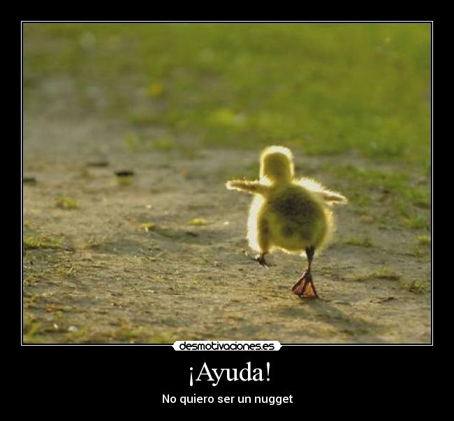 carteles ayuda pollito nugget desmotivaciones