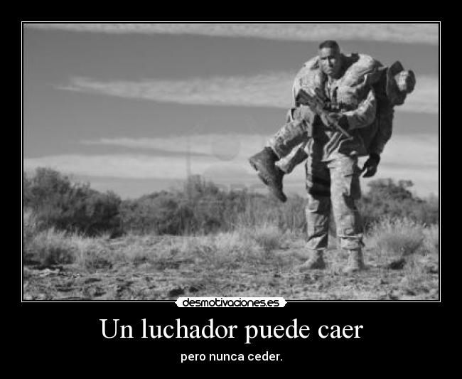 Un luchador puede caer - pero nunca ceder.