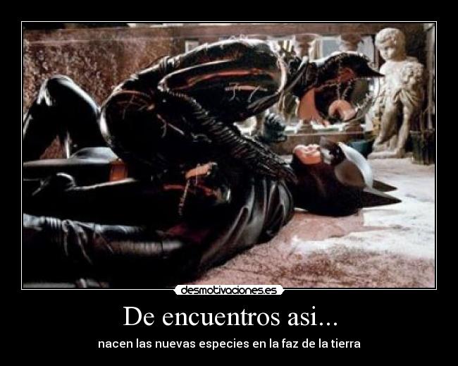 De encuentros asi... - nacen las nuevas especies en la faz de la tierra
