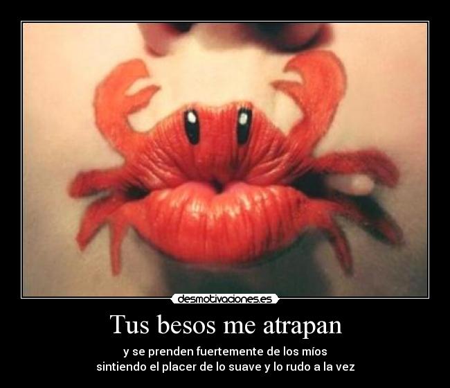 Tus besos me atrapan -