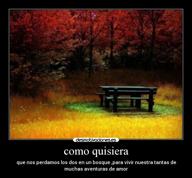 como quisiera - que nos perdamos los dos en un bosque ,para vivir nuestra tantas de
muchas aventuras de amor