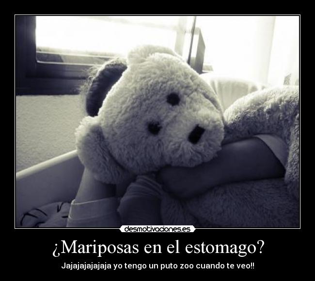 carteles mariposas desmotivaciones