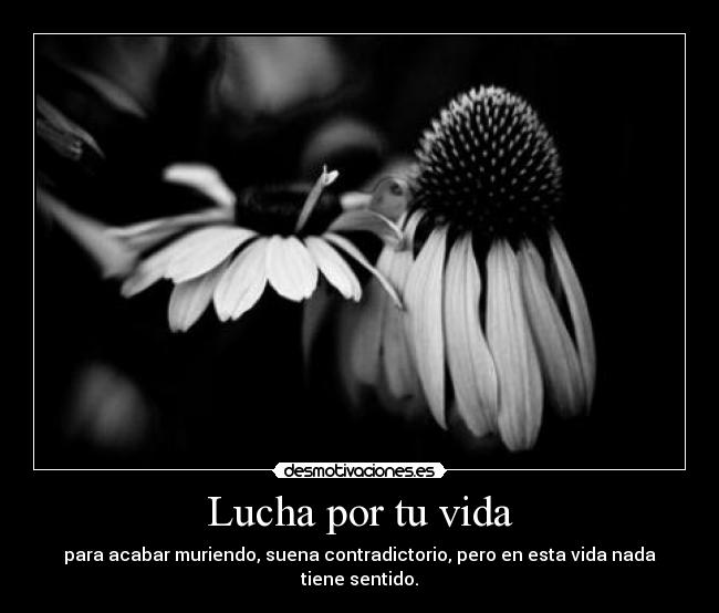 Lucha por tu vida - para acabar muriendo, suena contradictorio, pero en esta vida nada tiene sentido.