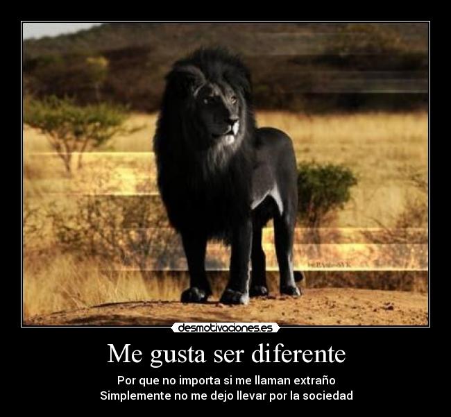 Me gusta ser diferente - Por que no importa si me llaman extraño
Simplemente no me dejo llevar por la sociedad