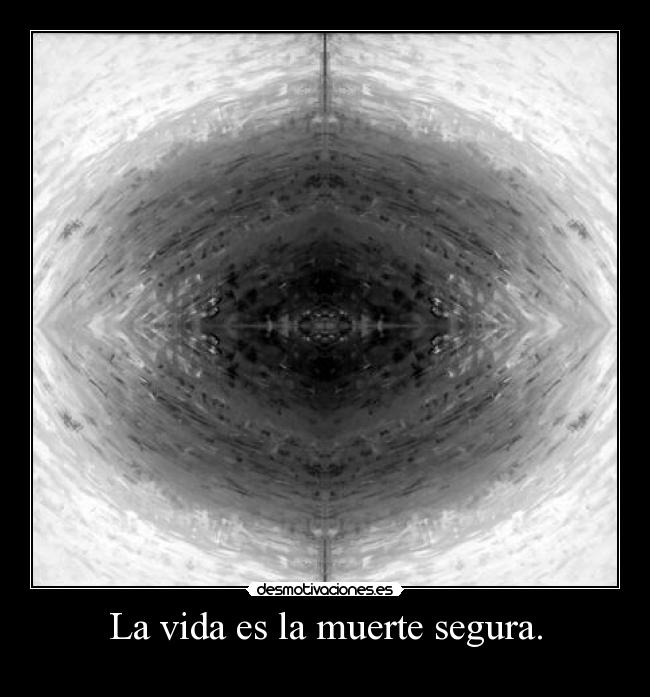 carteles vida muerte cristina desmotivaciones