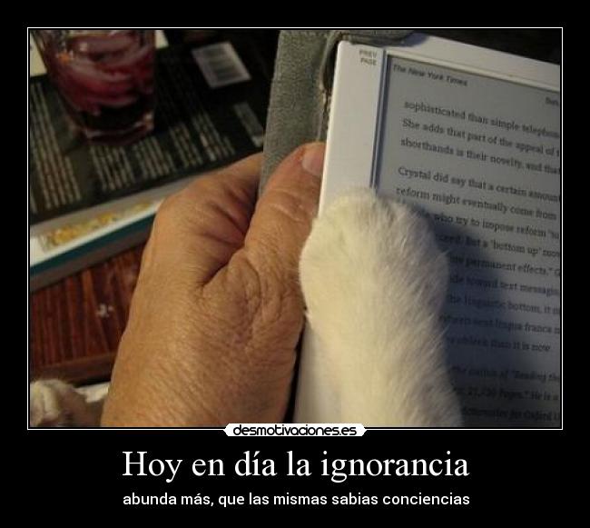 Hoy en día la ignorancia - abunda más, que las mismas sabias conciencias