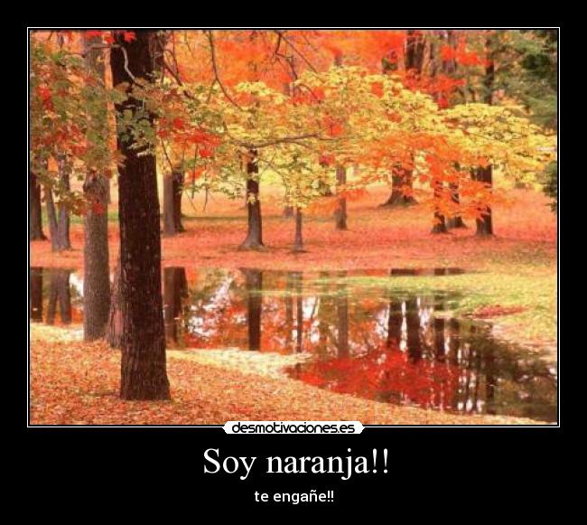 Soy naranja!! - te engañe!!