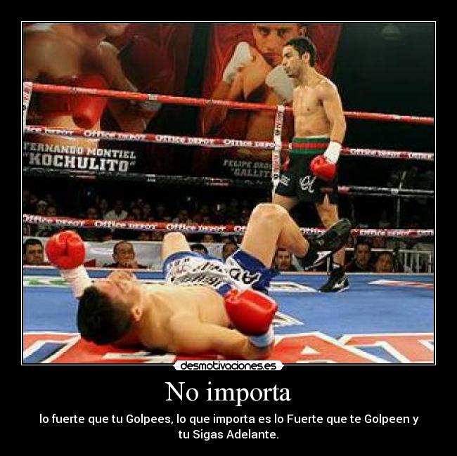 carteles box desmotivaciones