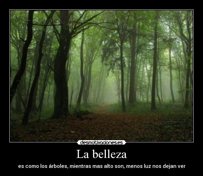 La belleza - es como los árboles, mientras mas alto son, menos luz nos dejan ver