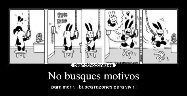 No busques motivos - 