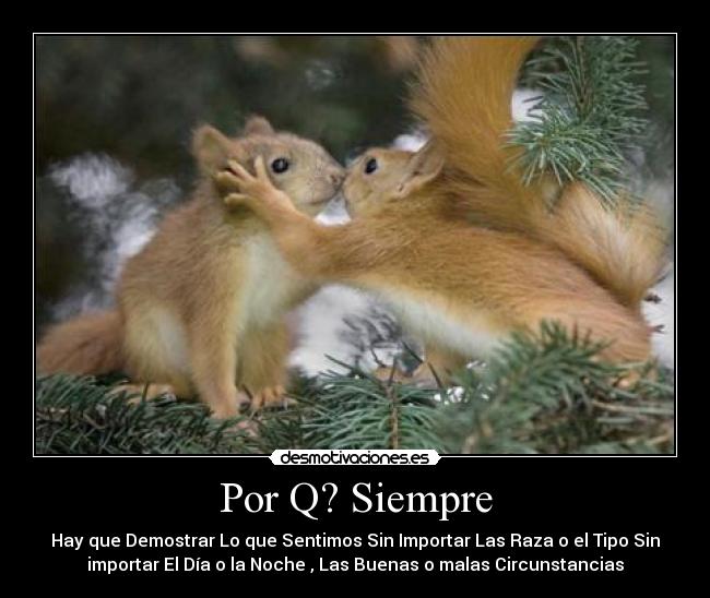 Por Q? Siempre - Hay que Demostrar Lo que Sentimos Sin Importar Las Raza o el Tipo Sin
importar El Día o la Noche , Las Buenas o malas Circunstancias