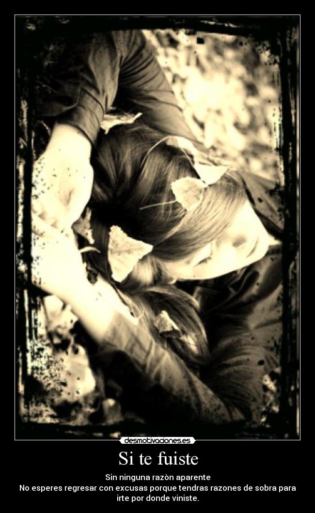 carteles fuiste desmotivaciones