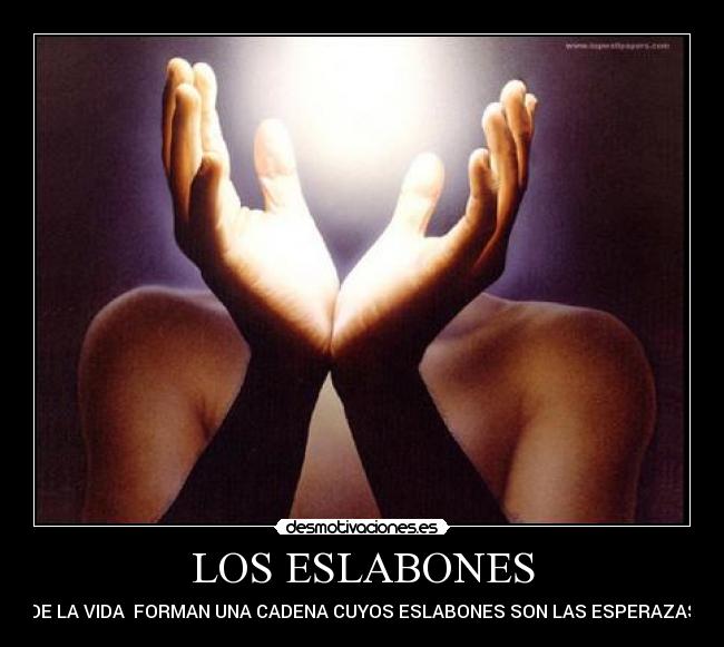 carteles none desmotivaciones