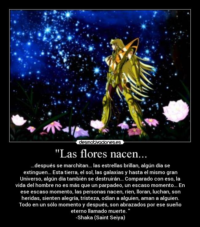 Las flores nacen... - ...después se marchitan... las estrellas brillan, algún día se
extinguen... Esta tierra, el sol, las galaxias y hasta el mismo gran
Universo, algún día también se destruirán... Comparado con eso, la
vida del hombre no es más que un parpadeo, un escaso momento... En
ese escaso momento, las personas nacen, ríen, lloran, luchan, son
heridas, sienten alegría, tristeza, odian a alguien, aman a alguien.
Todo en un sólo momento y después, son abrazados por ese sueño
eterno llamado muerte. 
-Shaka (Saint Seiya)