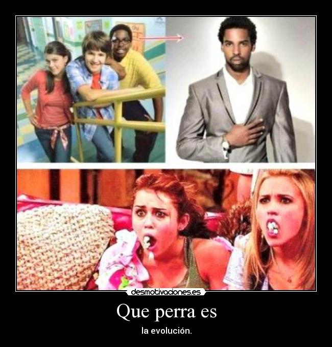 Que perra es - la evolución.