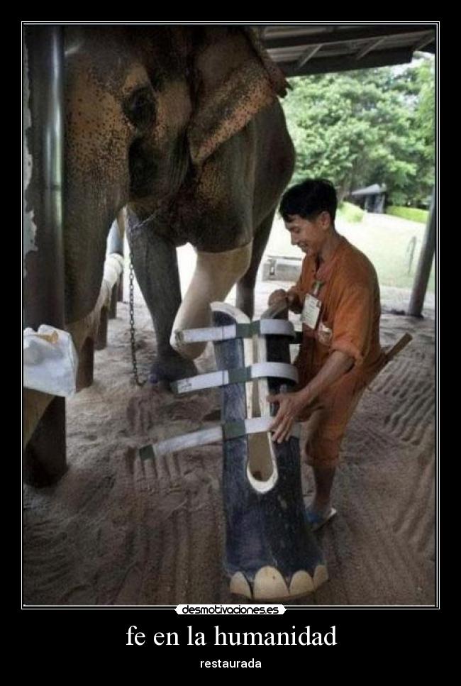 fe en la humanidad - 