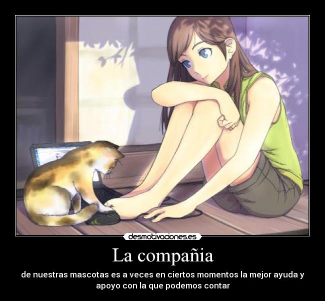 La compañia - de nuestras mascotas es a veces en ciertos momentos la mejor ayuda y
apoyo con la que podemos contar