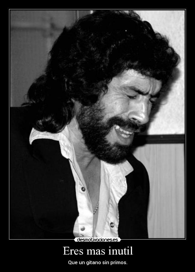 carteles gitano primos inutil desmotivaciones