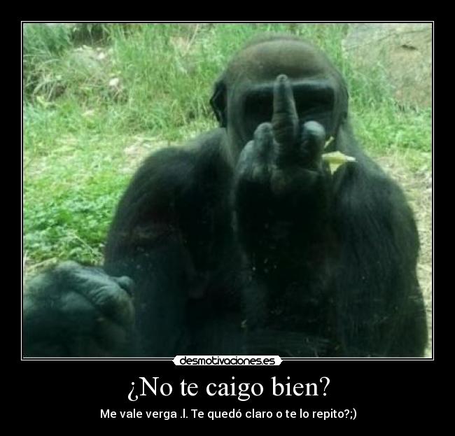 ¿No te caigo bien? - 