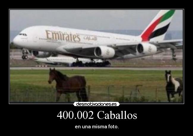 400.002 Caballos - en una misma foto.
