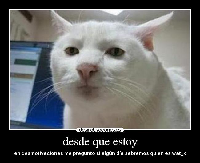 desde que estoy - en desmotivaciones me pregunto si algún día sabremos quien es wat_k