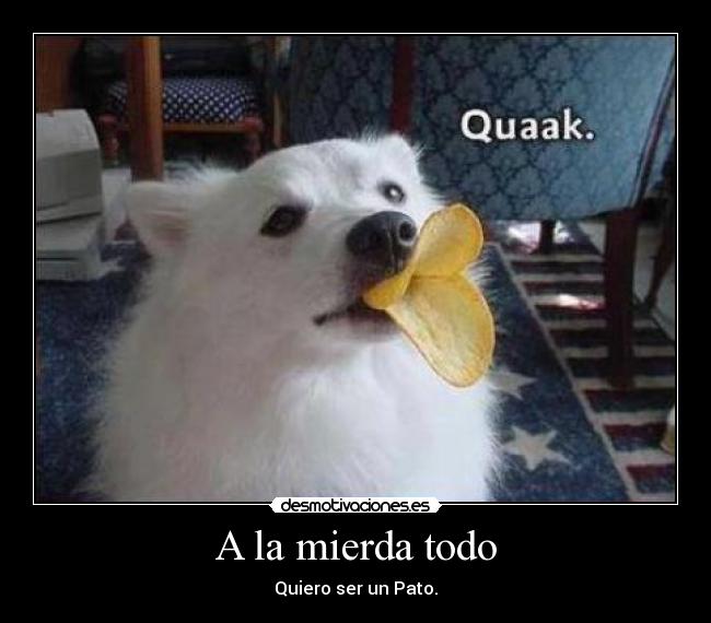 A la mierda todo - Quiero ser un Pato.