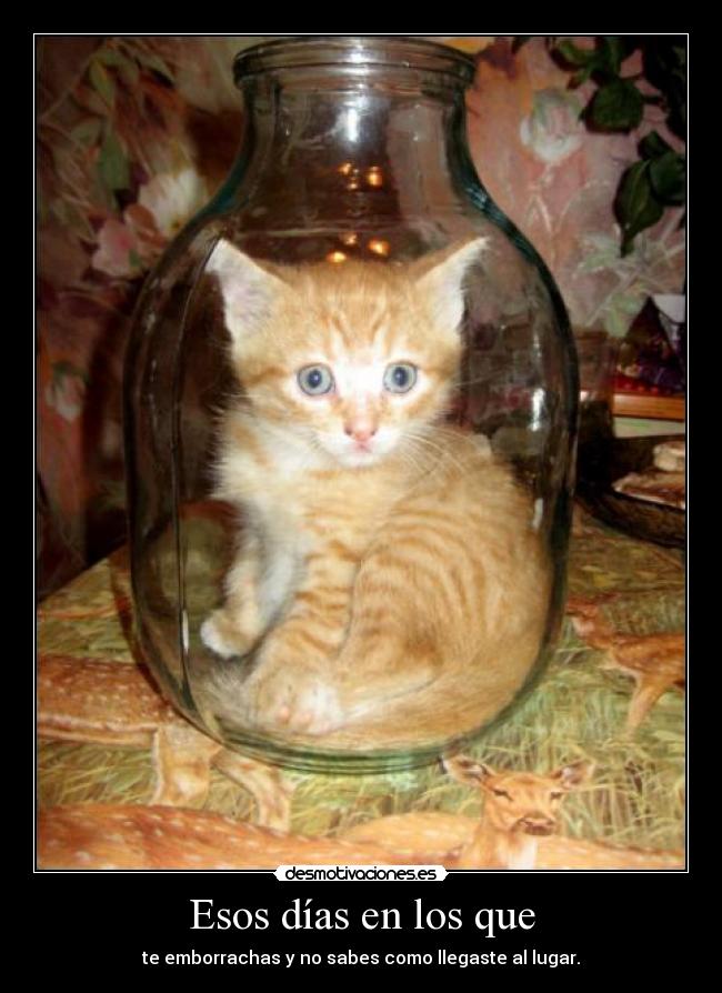Esos días en los que - te emborrachas y no sabes como llegaste al lugar.