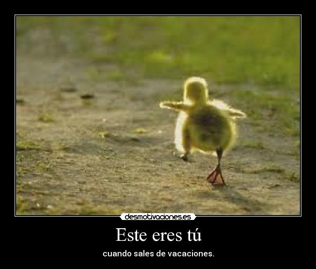 Este eres tú - cuando sales de vacaciones.