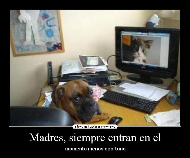 Madres, siempre entran en el -