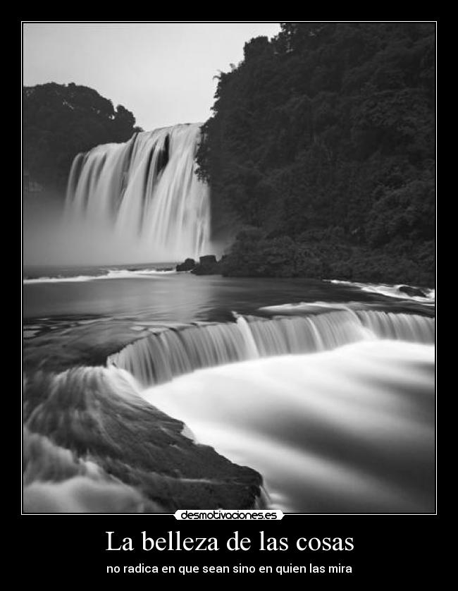 La belleza de las cosas - no radica en que sean sino en quien las mira