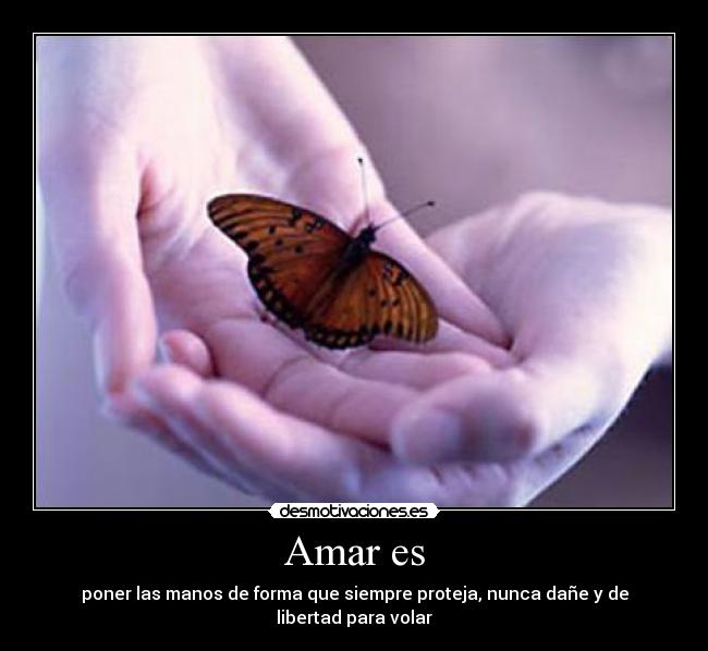 Amar es -