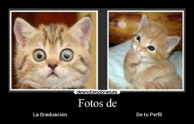 Fotos de - La Graduación De tu Perfil