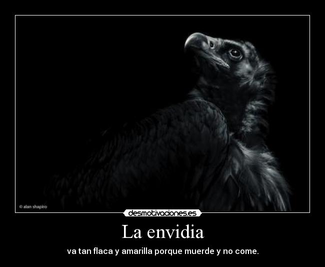 carteles cierto desmotivaciones