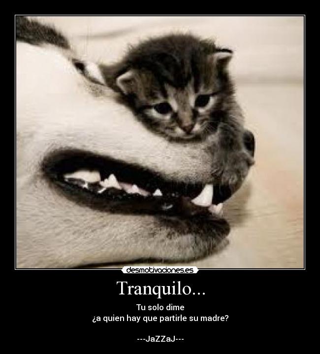 Tranquilo... - Tu solo dime
¿a quien hay que partirle su madre?
---JaZZaJ---