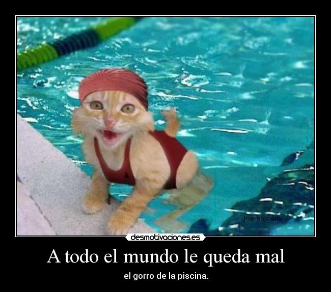 A todo el mundo le queda mal -