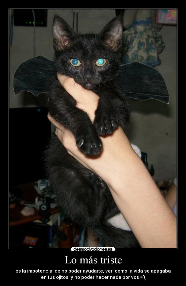 Lo más triste - es la impotencia de no poder ayudarte, ver como la vida se apagaba
en tus ojitos y no poder hacer nada por vos =(