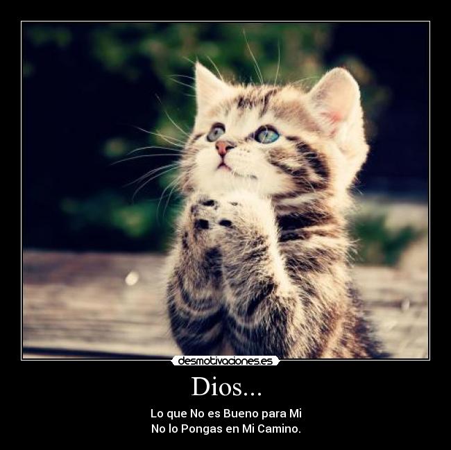 Dios... - Lo que No es Bueno para Mi
No lo Pongas en Mi Camino.