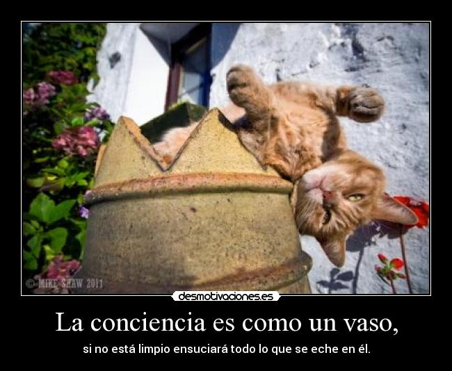 La conciencia es como un vaso, - 