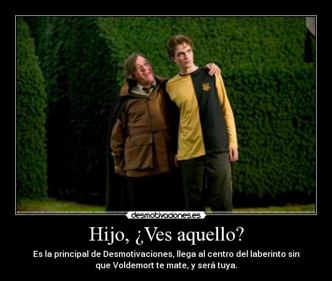 Hijo, ¿Ves aquello? - Es la principal de Desmotivaciones, llega al centro del laberinto sin
que Voldemort te mate, y será tuya.