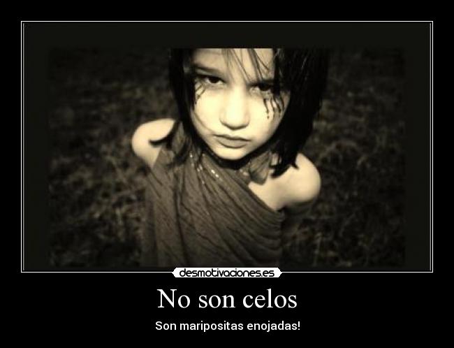 No son celos - Son maripositas enojadas!