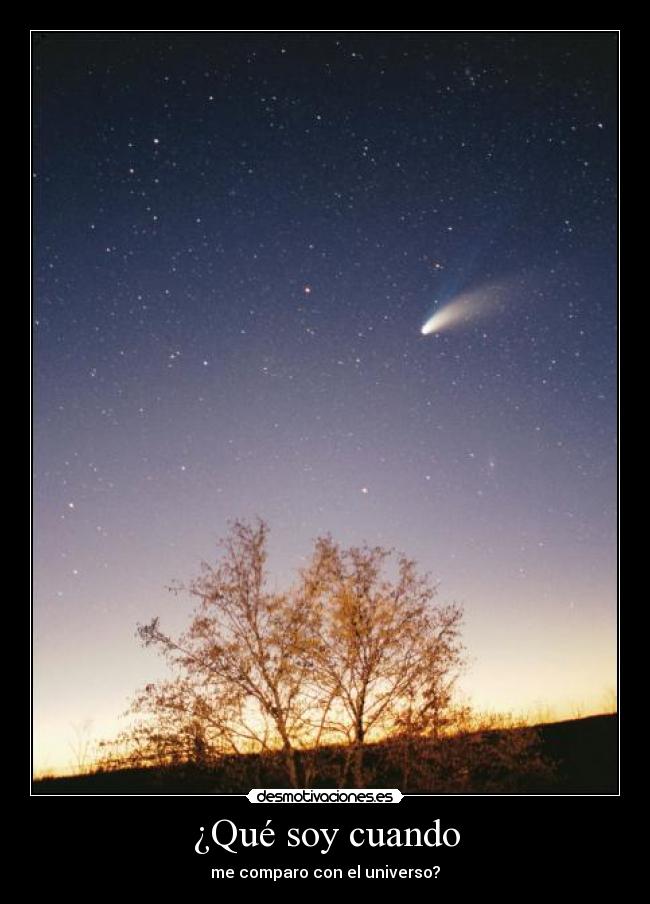 ¿Qué soy cuando - me comparo con el universo?