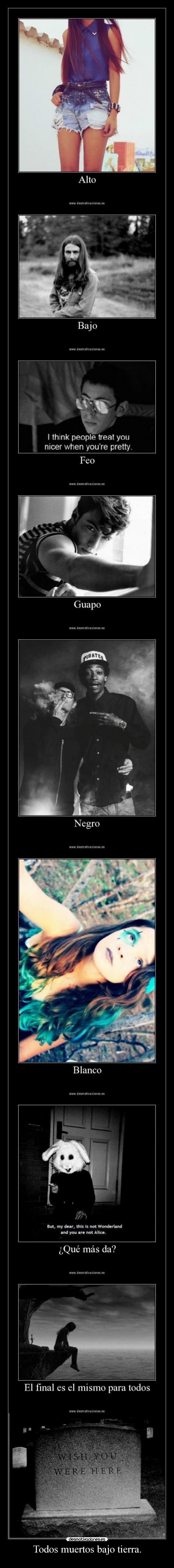 Todos muertos bajo tierra. - 