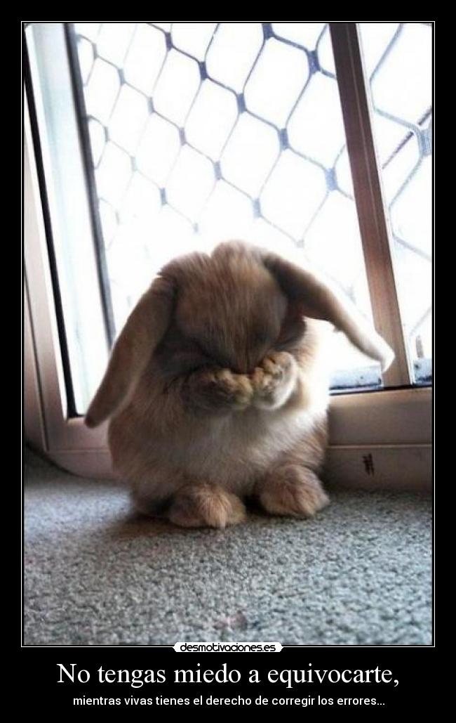 No tengas miedo a equivocarte, - 
