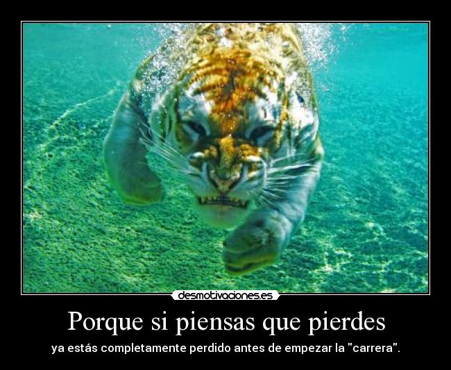 Porque si piensas que pierdes - ya estás completamente perdido antes de empezar la carrera.