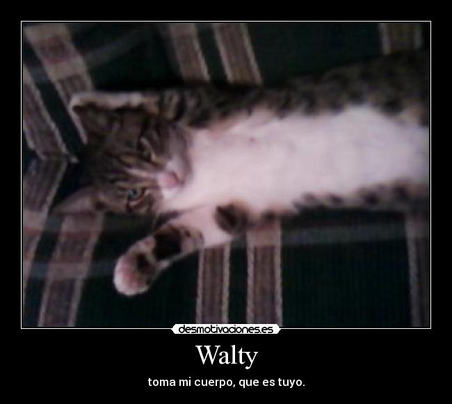 Walty - toma mi cuerpo, que es tuyo.