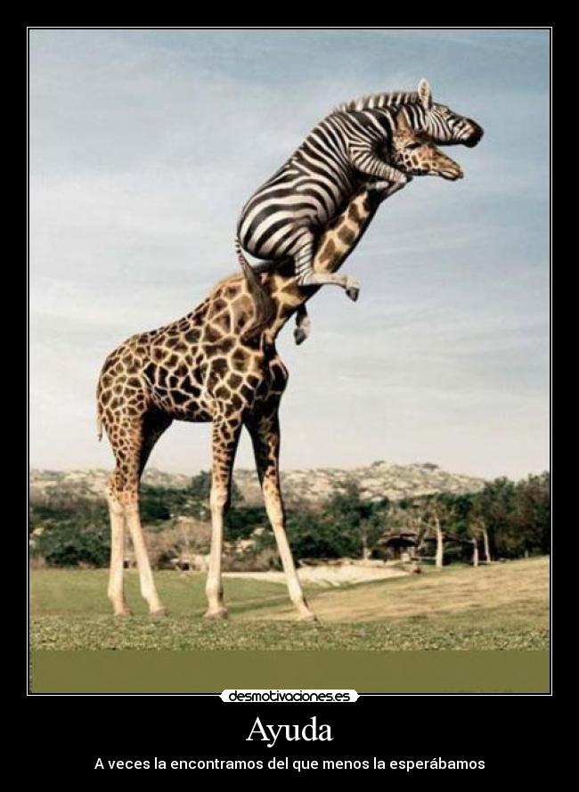 Ayuda - A veces la encontramos del que menos la esperábamos