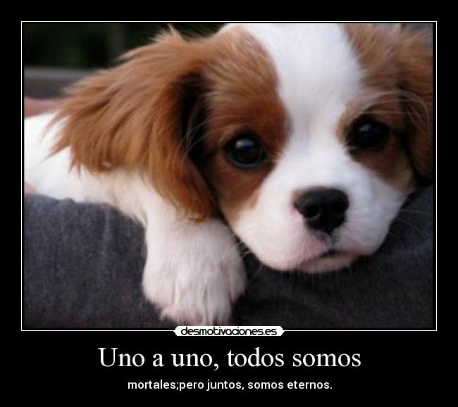 Uno a uno, todos somos -