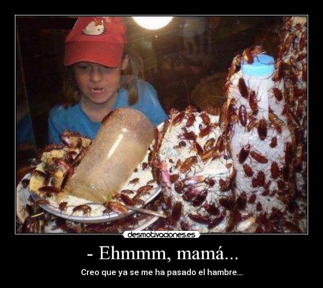 carteles mama hambre cucarachas molaxd desmotivaciones
