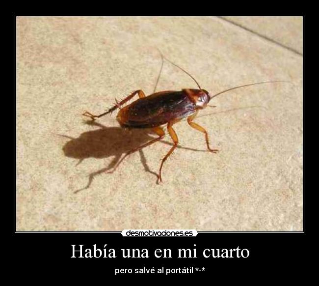 carteles cucaracha fobia desmotivaciones