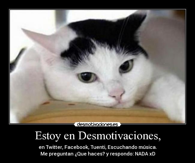 Estoy en Desmotivaciones, - en Twitter, Facebook, Tuenti, Escuchando música.
Me preguntan ¿Que haces? y respondo: NADA xD